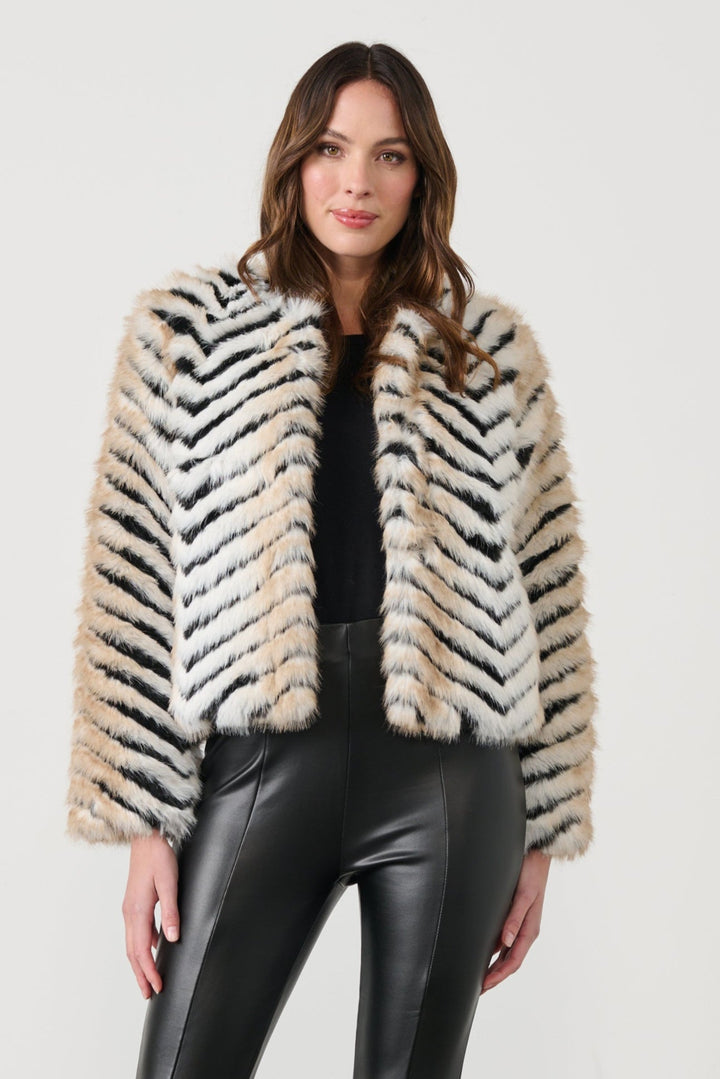 Bexley Jacket - Chevron - CJ1 - Pizazz BoutiqueCaju