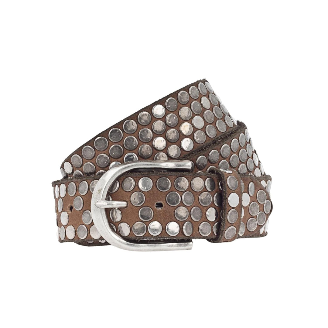 Liv Belt - Cognac - BB2 - Pizazz BoutiqueB Belt