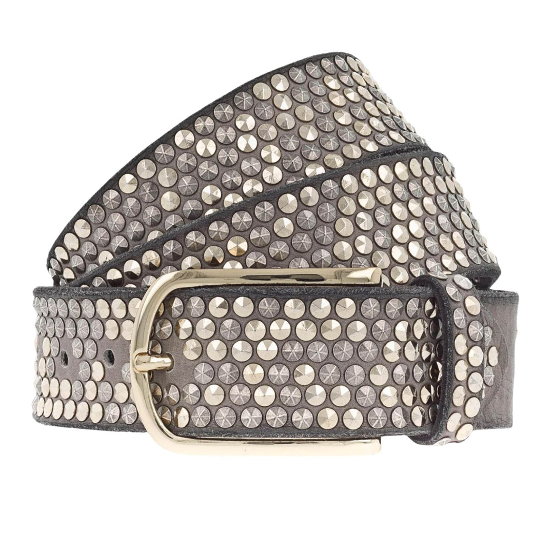Zoe Belt - Taupe Gold - BB3 - Pizazz BoutiqueB Belt