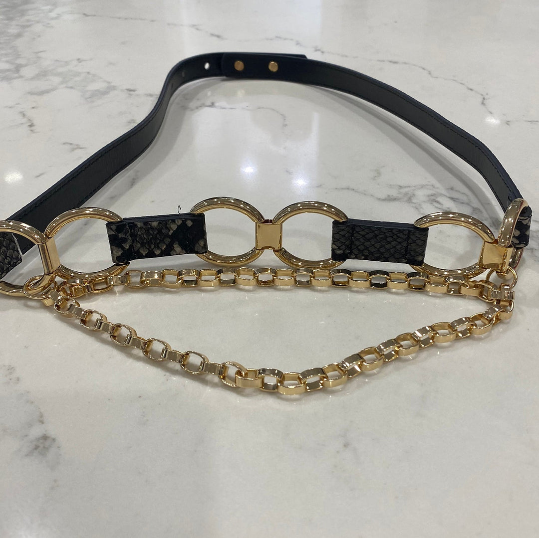 Charcoal Reptilian Belt - Pizazz BoutiqueFrank Lyman