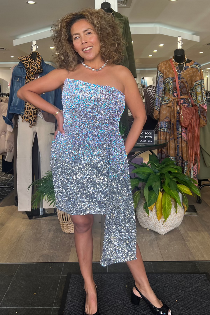 Dior Mini Dress - Silver Two Tone - ROM73