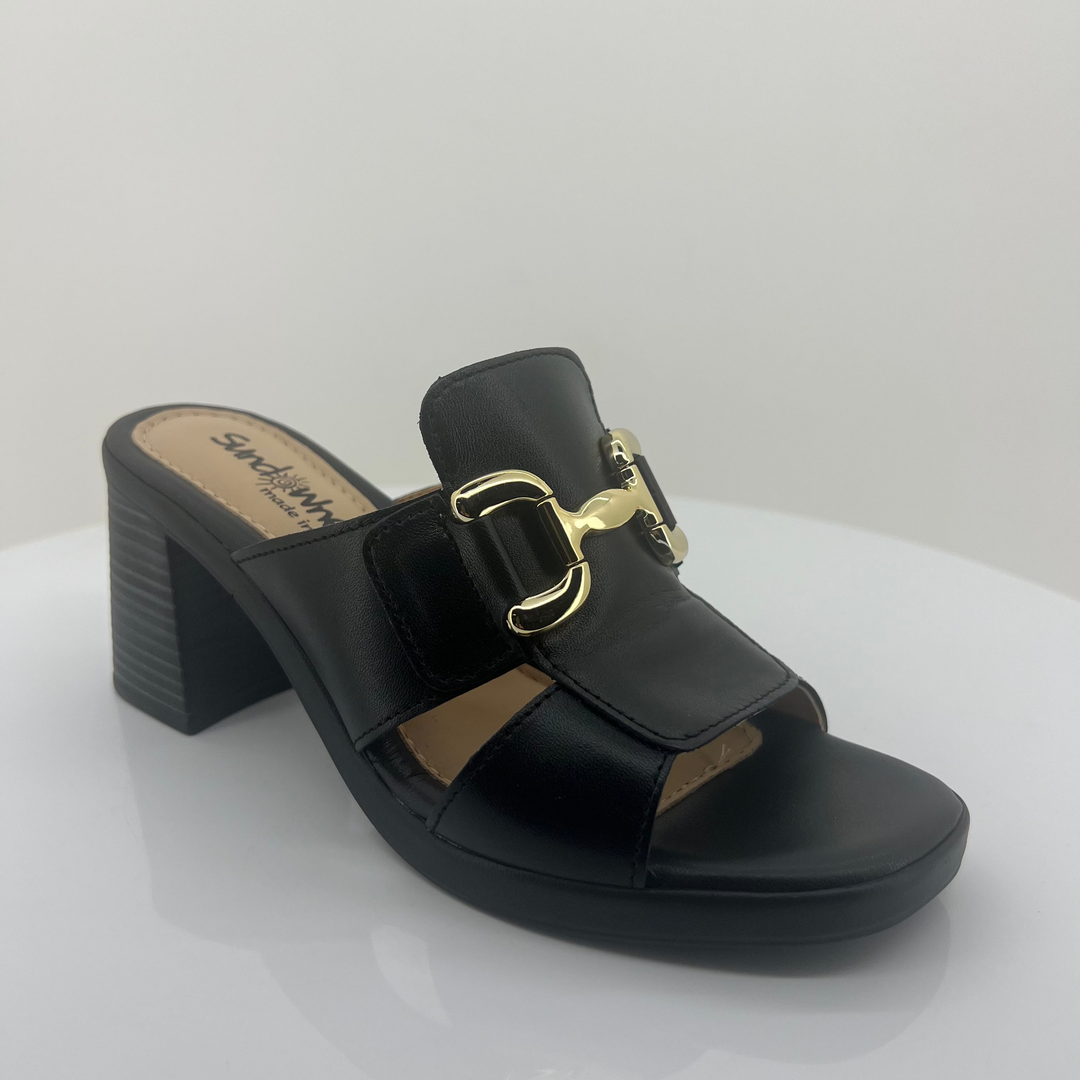 Black sandal with gold buckle on a white background