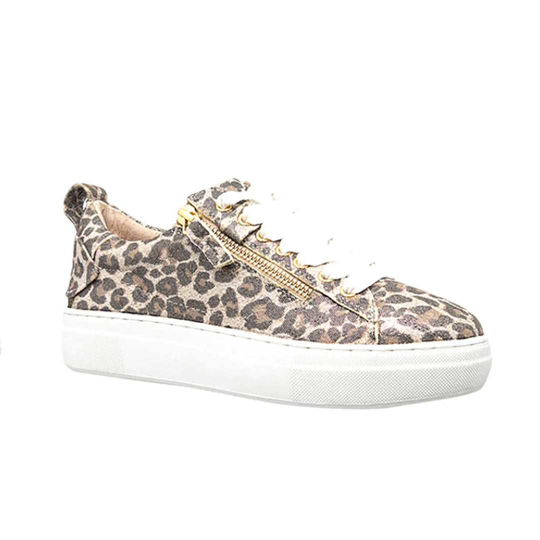 Maize Sneaker - Champagne Leopard - AE18