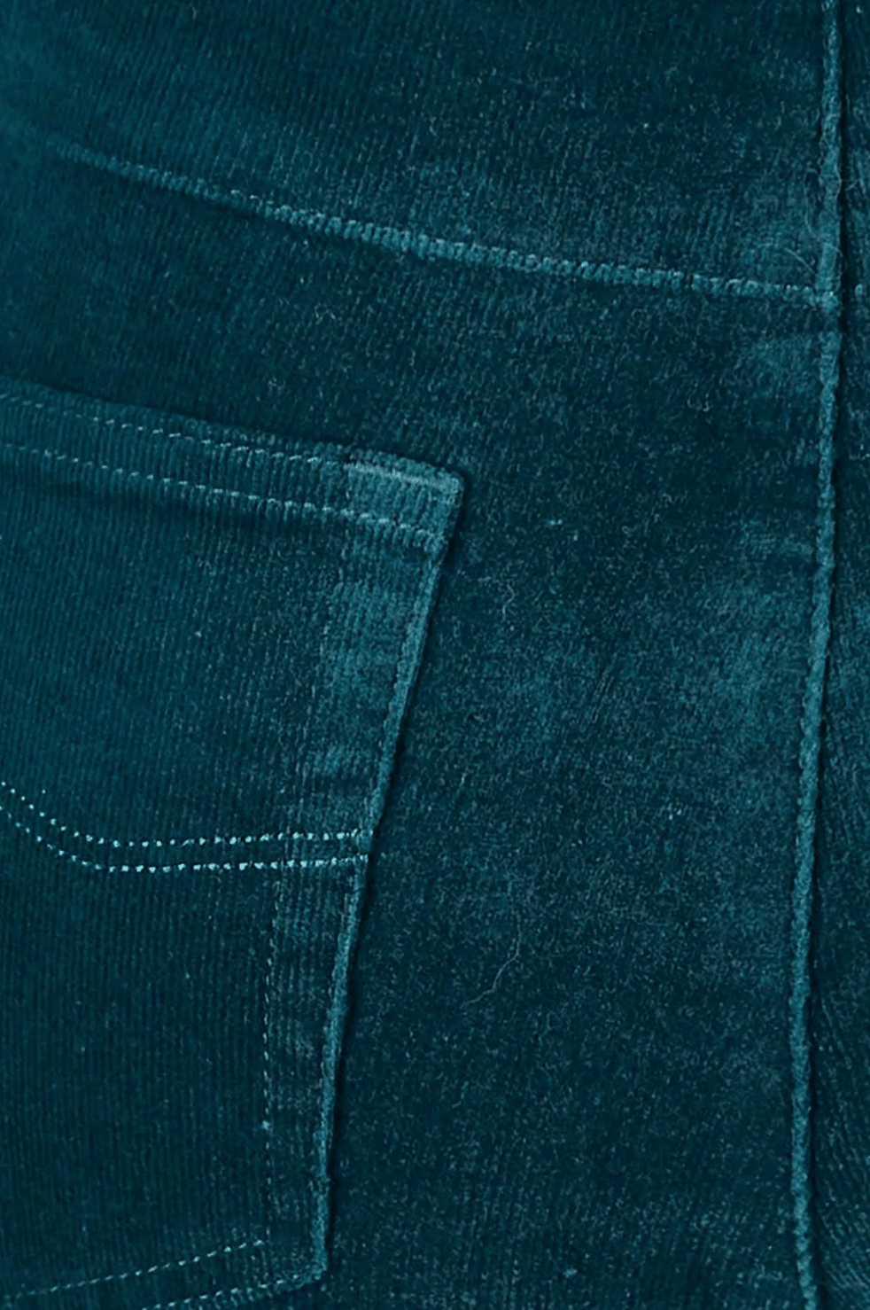 Cord Pull On Pant - Peacock - VA2 - Pizazz BoutiqueVassalli