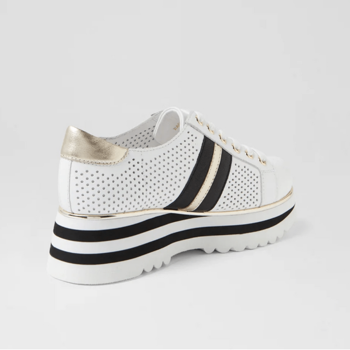 Eaglesy Sneaker - White/Gold - DJ24 - Pizazz BoutiqueDjango & Juliette