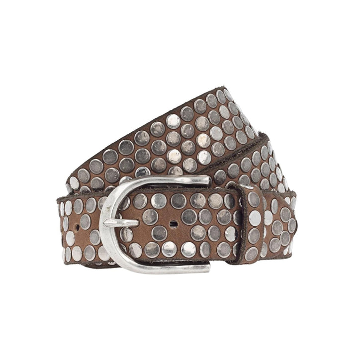 Liv Belt - Cognac - BB2 - Pizazz BoutiqueB Belt