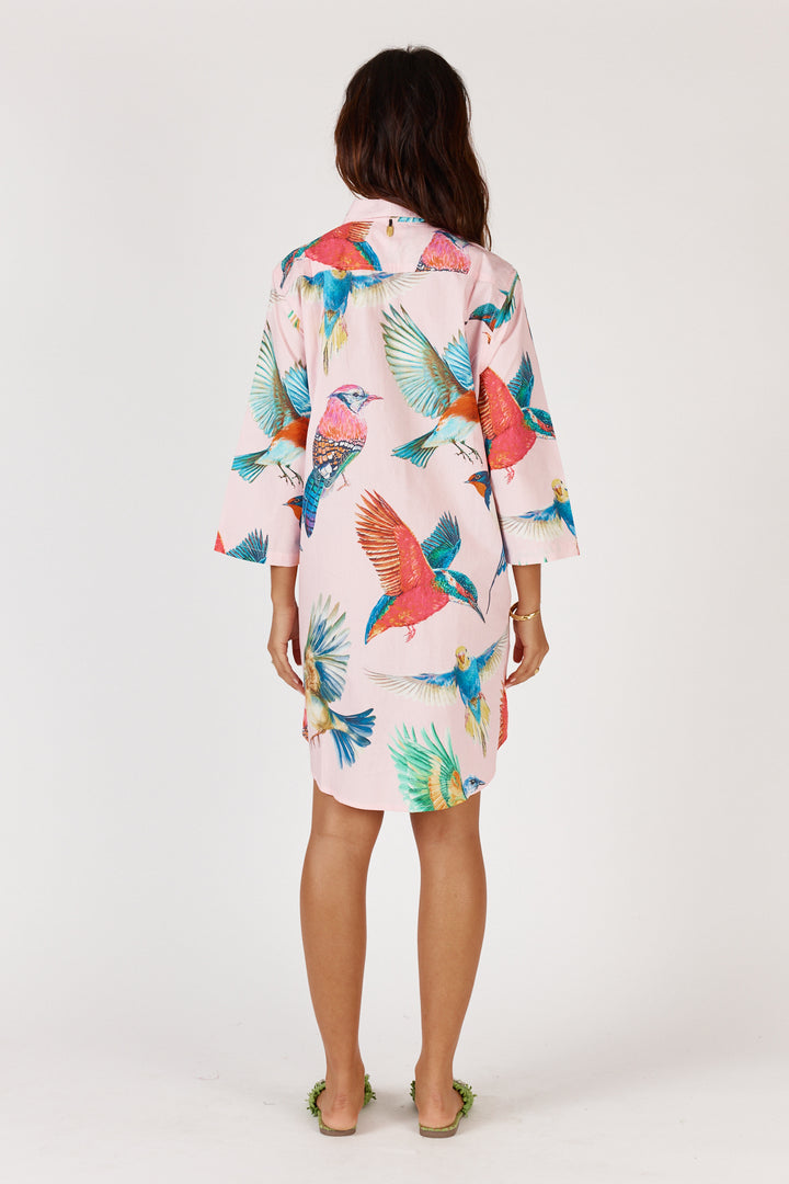 Warbler Shirtmaker - Pink - RY7