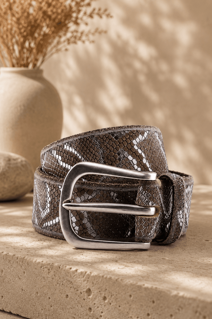 Sabia Belt - Brown Silver - BB5 - Pizazz BoutiqueB Belt